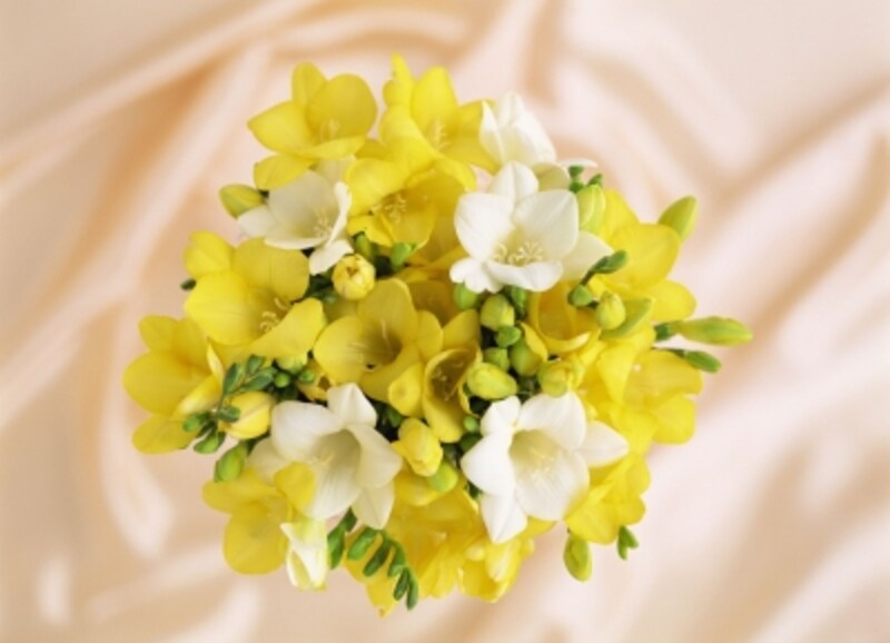 米寿のカラーは「黄」。日用品、あるいはお花などがいいでしょう