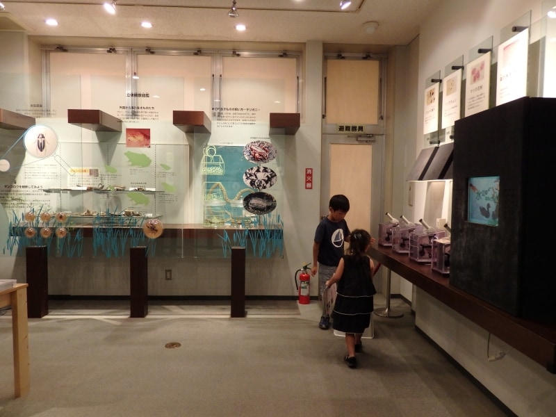 彩湖自然学習センター