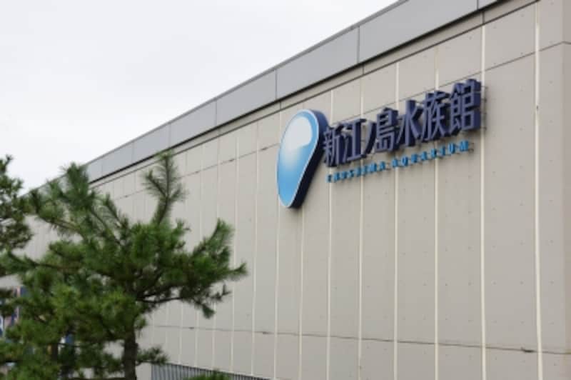 新江ノ島水族館(えのすい)