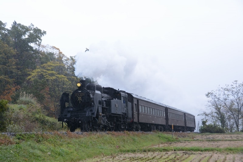 通常のC11形は前面のヘッドライトがひとつだ