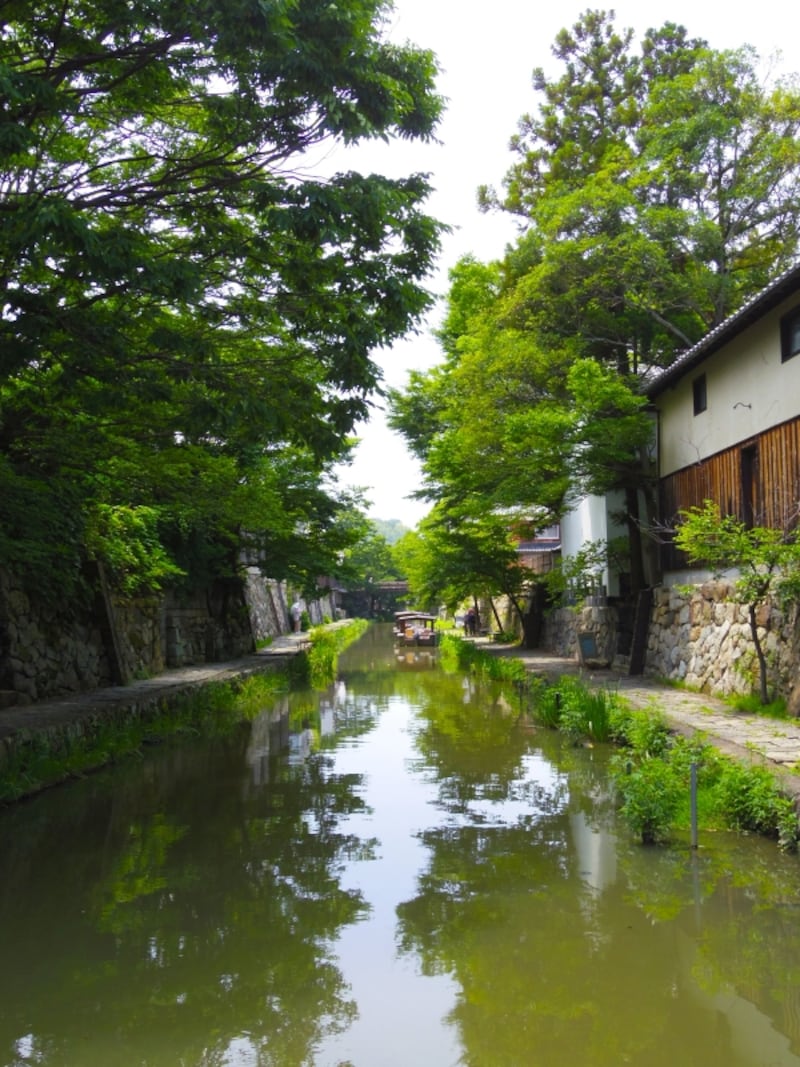 初夏の八幡堀