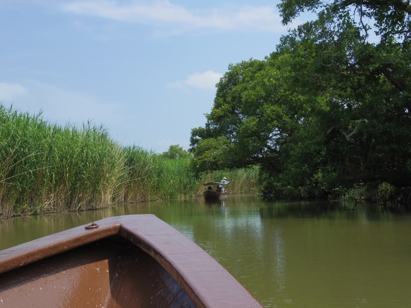 水郷めぐり