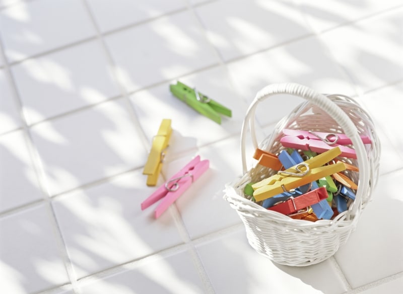 犬のベッドは清潔に！しっかり天日干しに♪