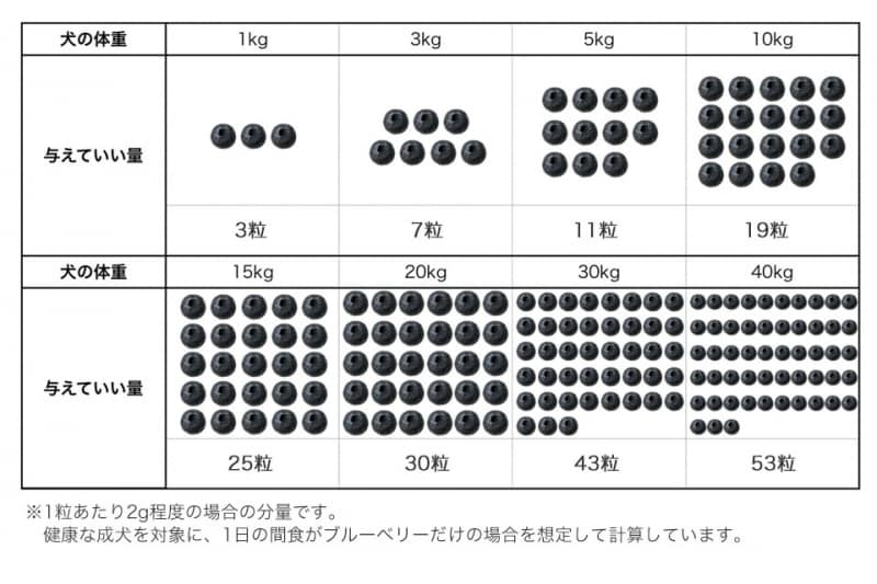 犬undefinedブルーベリーundefined食べて良いundefined量undefined病気undefined薬undefined食べ合わせ
