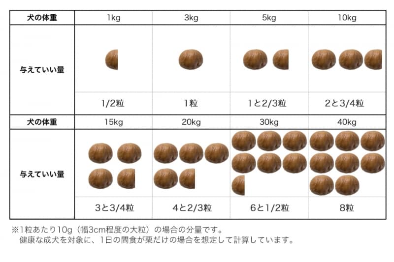 犬undefined栗undefined食べて良いundefined量undefined病気undefined薬undefined食べ合わせ