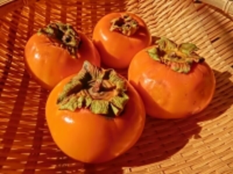 kaki