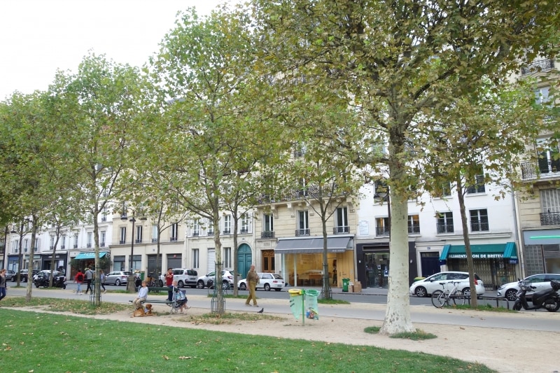 公園の向こうからお店を眺めて