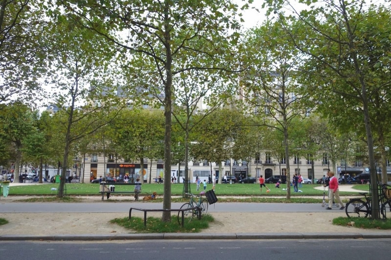 お店の中にいるといつも見える公園