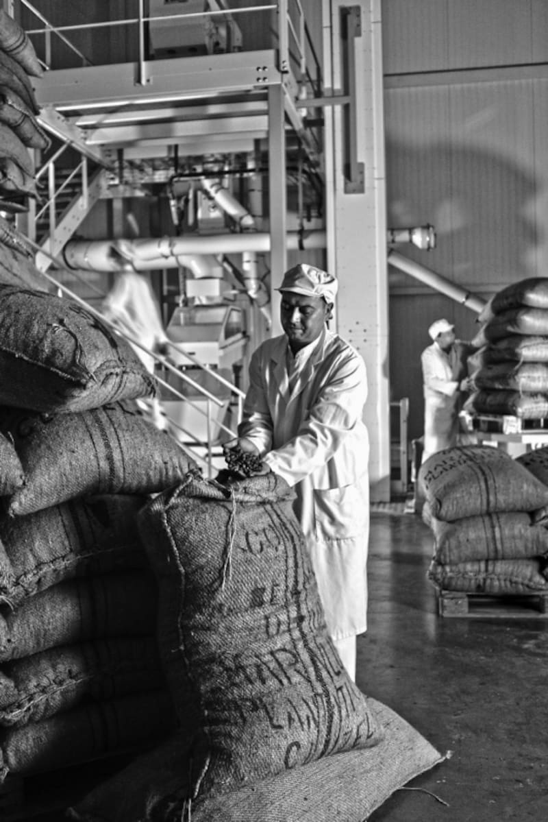 契約農園から届いたカカオ豆からチョコレートが作られます