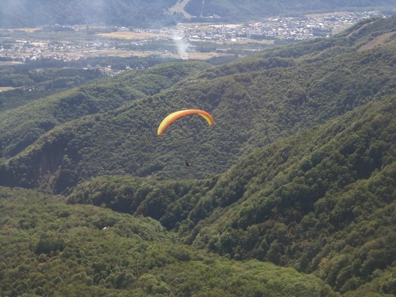 栂池高原で行われているパラグライダー