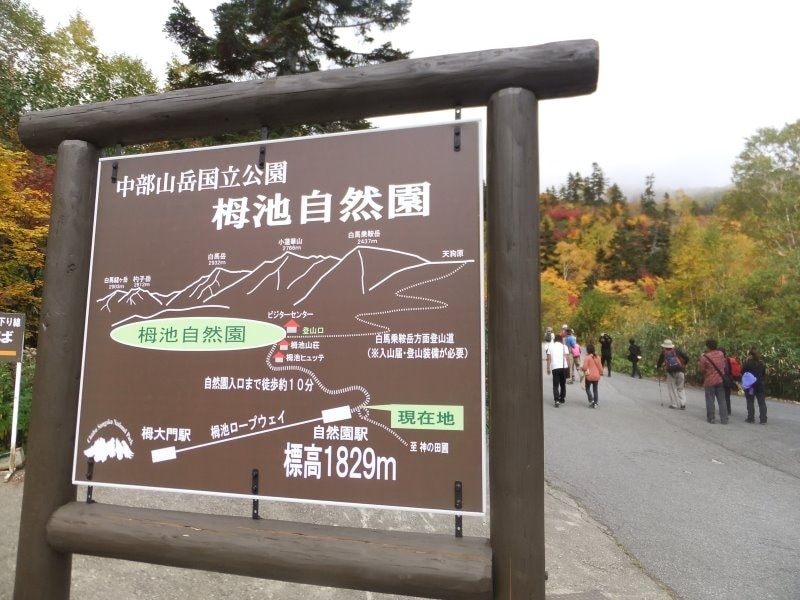 栂池自然園への道案内