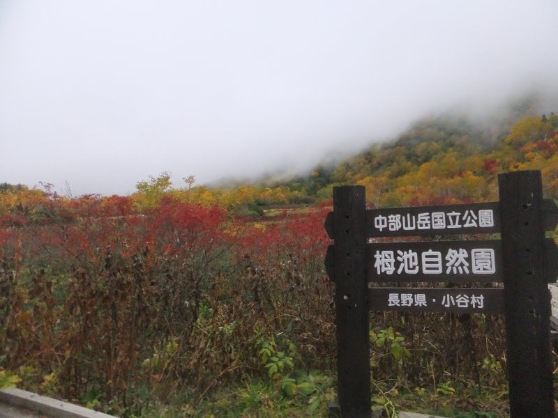 栂池自然園の紅葉・黄葉（2）