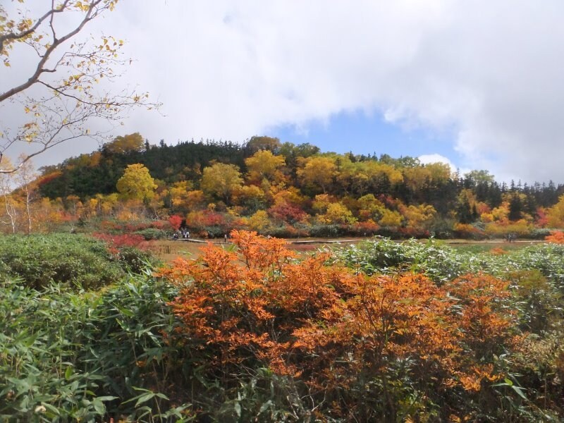 栂池自然園の紅葉・黄葉（5）