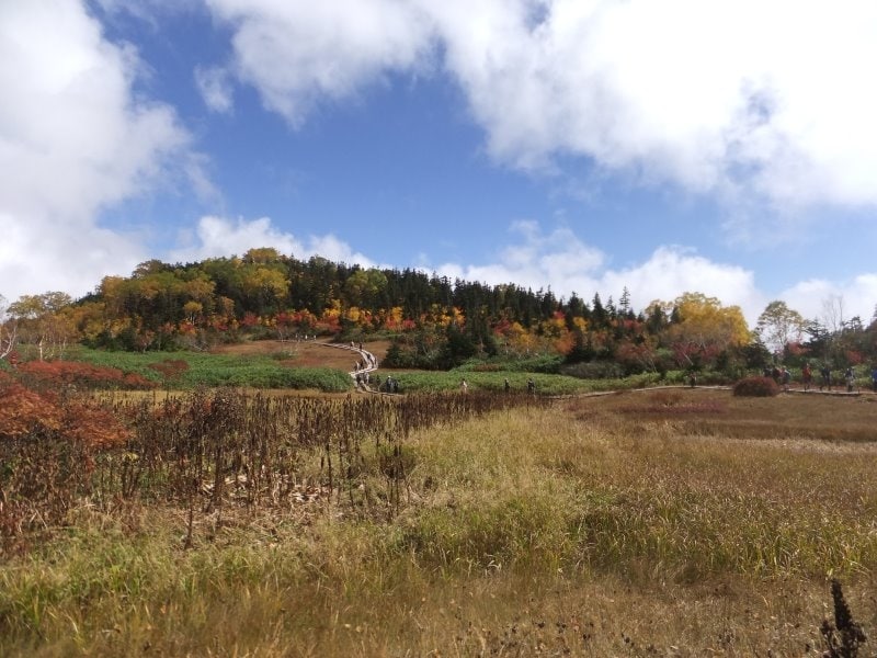 栂池自然園の紅葉・黄葉（6）
