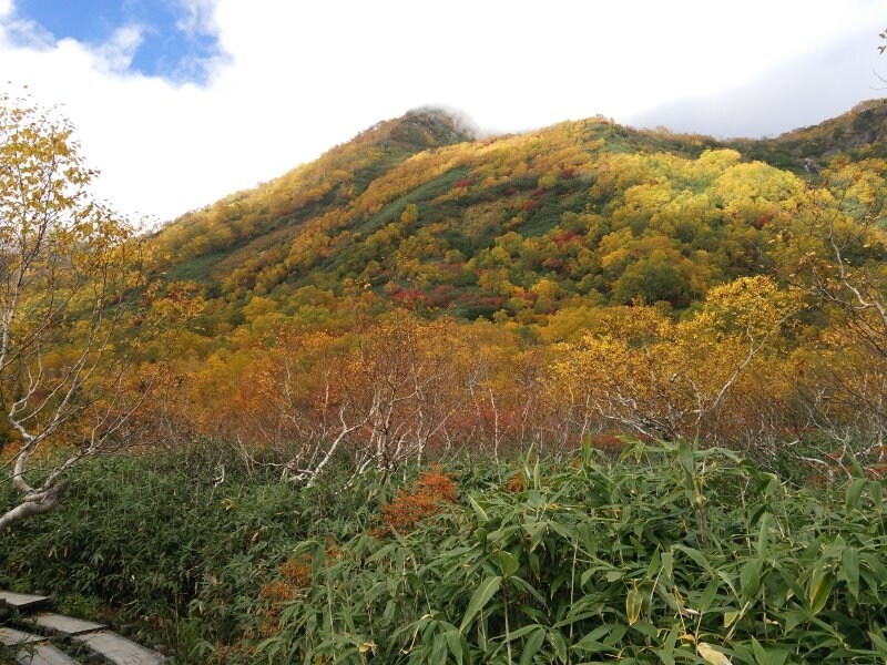 栂池自然園の紅葉・黄葉（7）