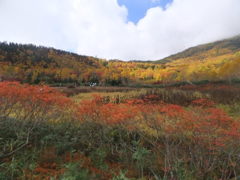 栂池自然園の紅葉・黄葉（8）