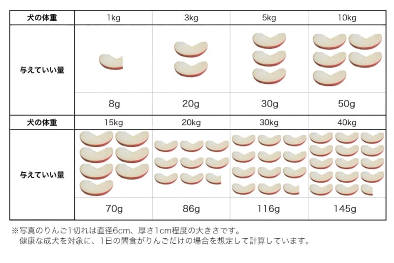 犬undefinedりんごundefined食べて良いundefined量undefined病気undefined薬undefined食べ合わせ