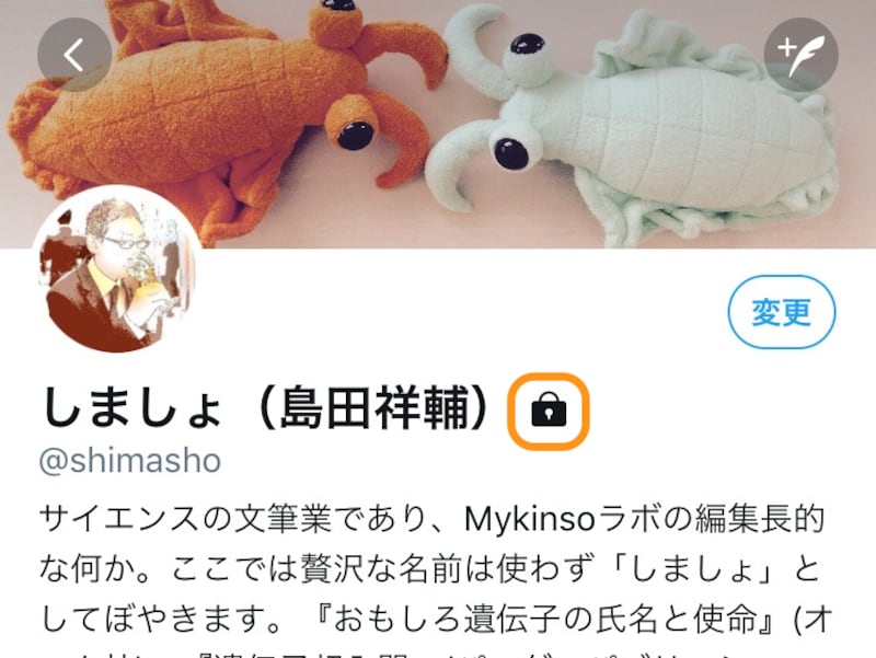 設定すると、自分のアカウントやツイートに南京錠のマークが付く