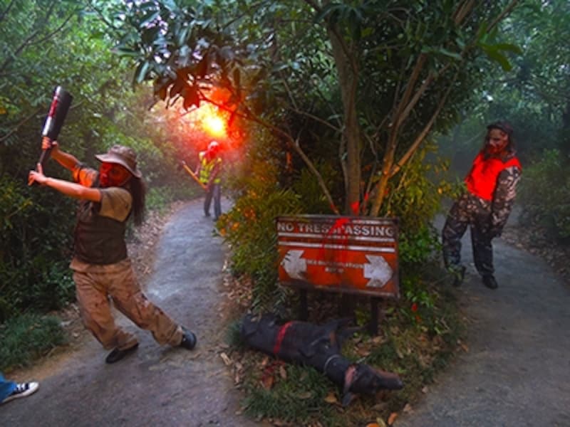 デッドマンズ・フォレスト