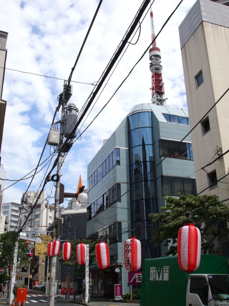 電線にもいろいろなタイプがあるのがわかる