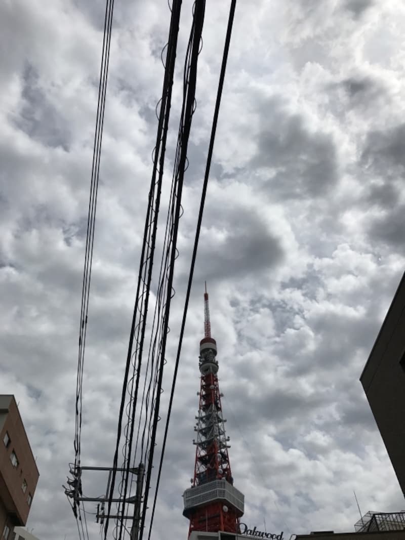東京タワーと電線が重なる風景。雲の姿が印象的