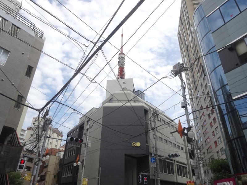 この電線すべてに電気が通っているのだ