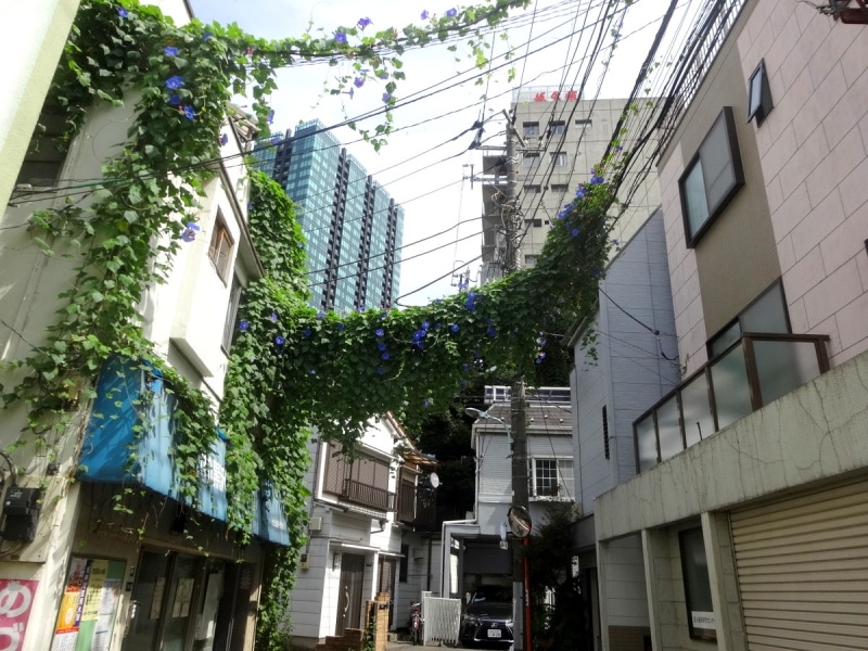 ちょっと変わった風景だ