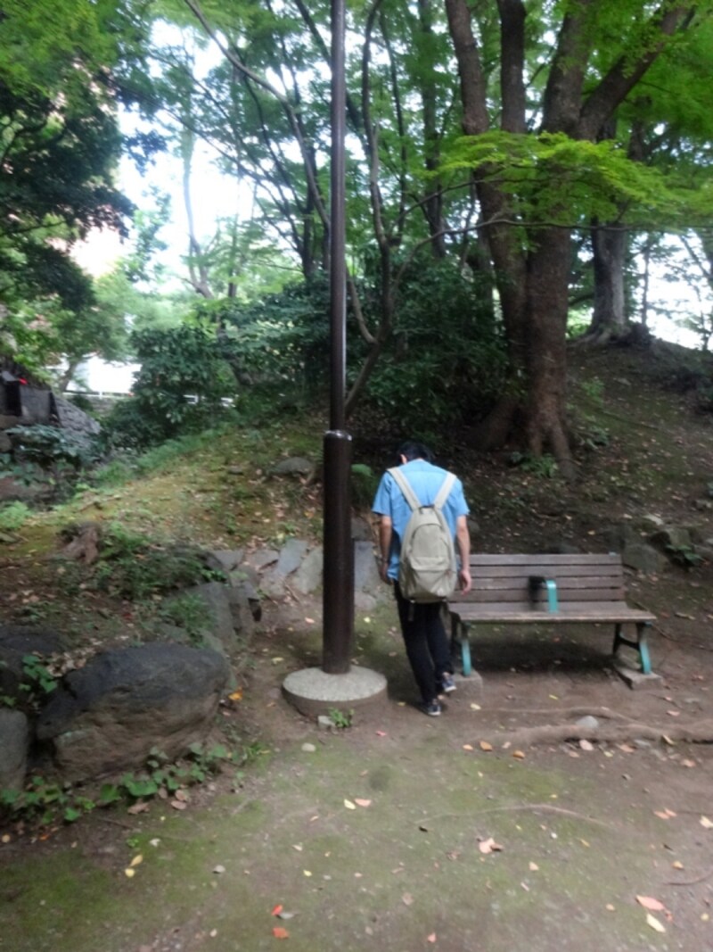 街灯には電線がない