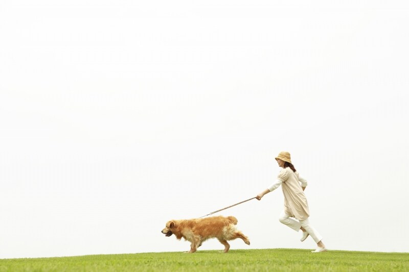 愛犬の首輪嫌いを克服して楽しいワンコライフを送ろう！