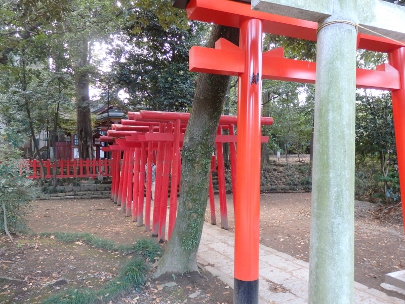 境内に建つ末社の稲荷神社
