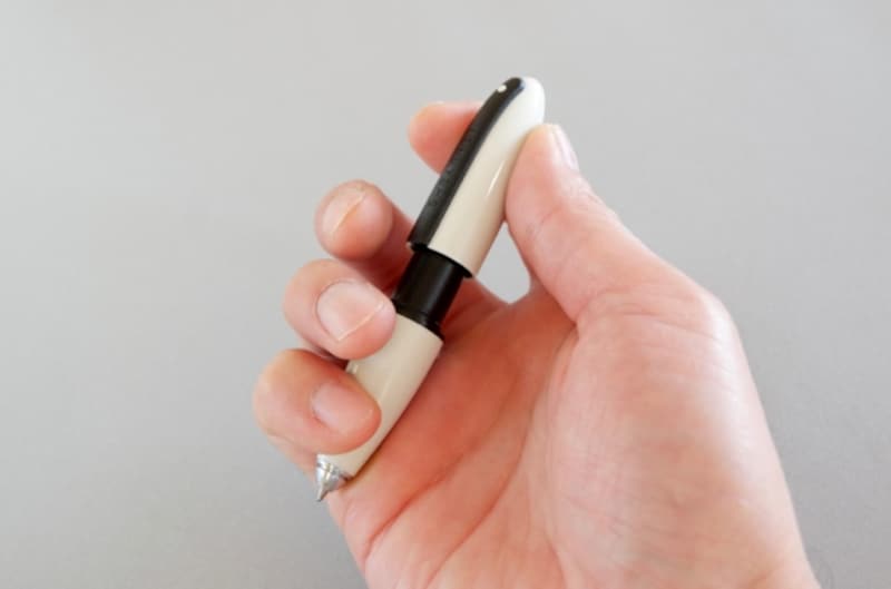 シェーファーundefinedアイオン