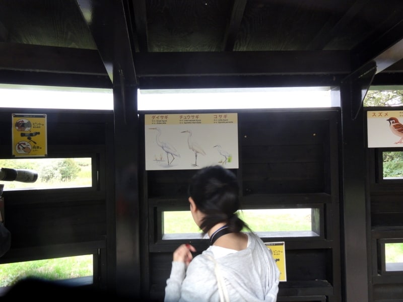 鳥の絵と名前が書いてある