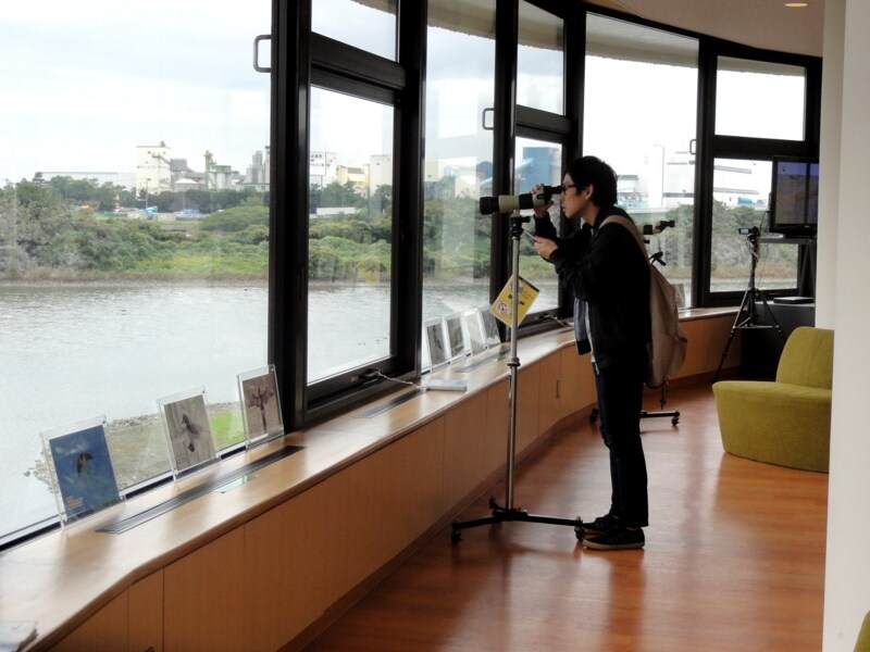 ここからは多くの野鳥が見えた