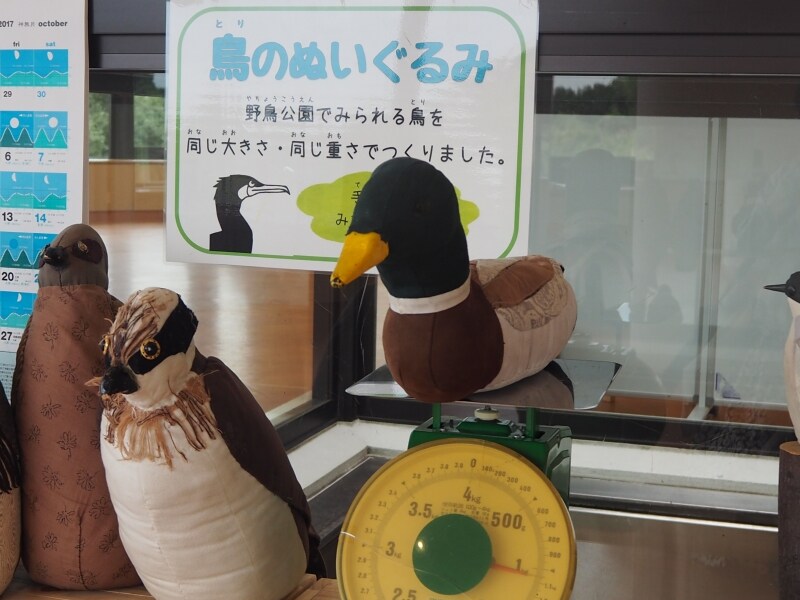 鳥の重さがわかる人形。軽そうに見えて、けっこう重いのだ