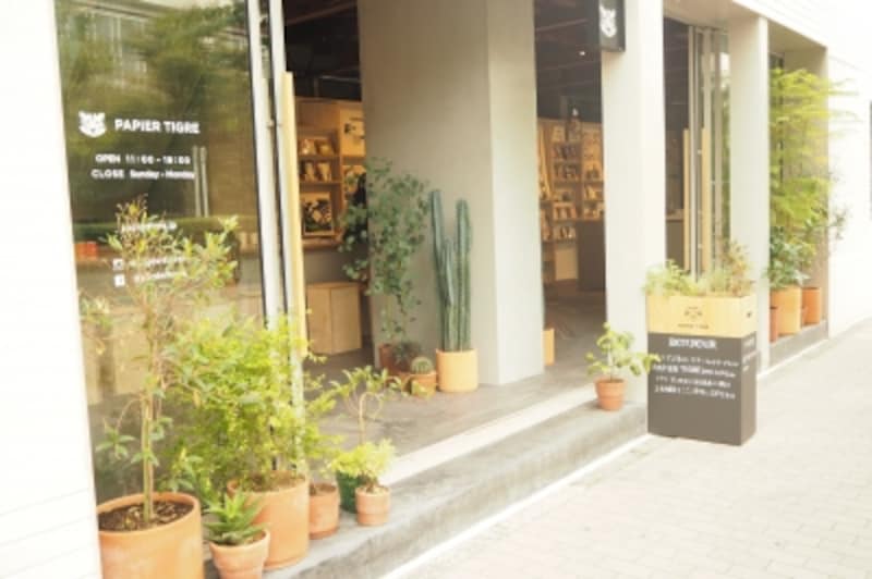 緑が映える外観