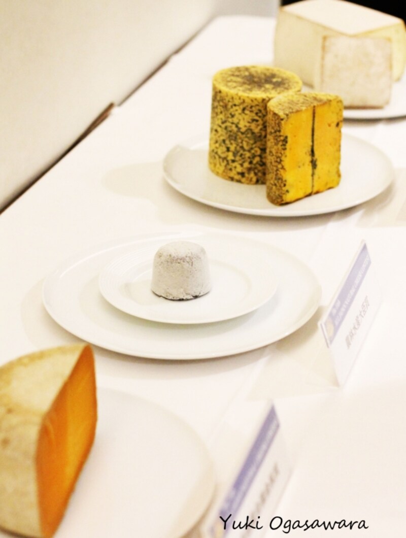 All Japanナチュラルチーズコンテスト2017受賞チーズたち