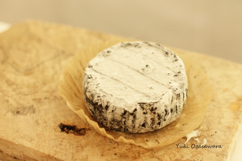 古株牧場 湖華舞：「フロマージュ・ド・シェーブル」