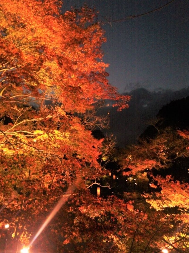 御船山楽園の紅葉・黄葉(8)