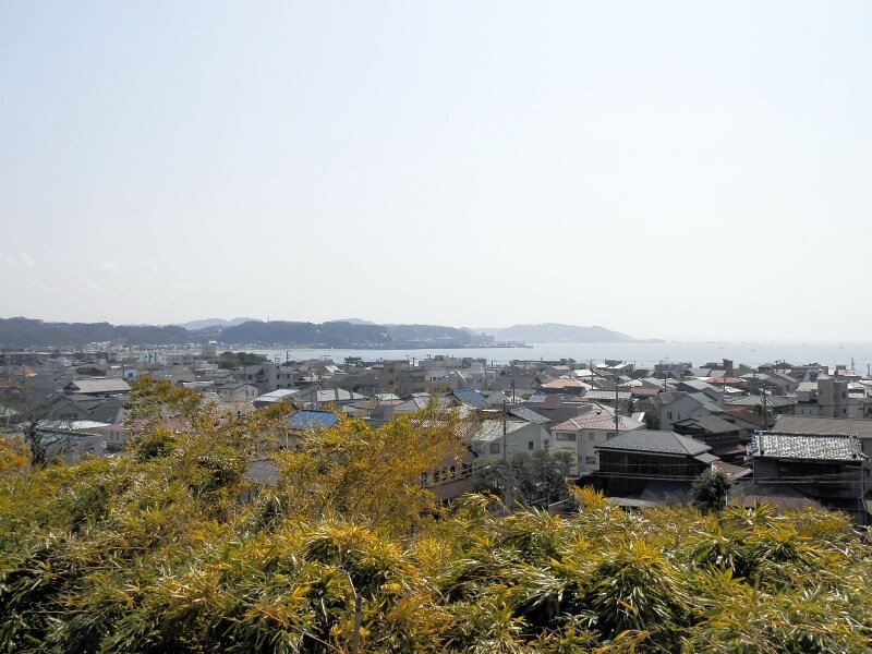 海光庵の窓からの眺め
