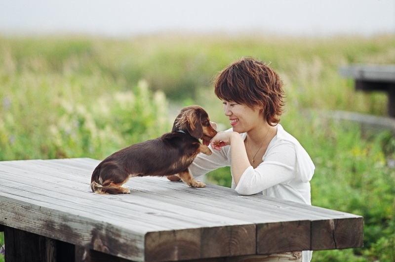 愛犬との向き合い方の選択肢は飼い主の方にある