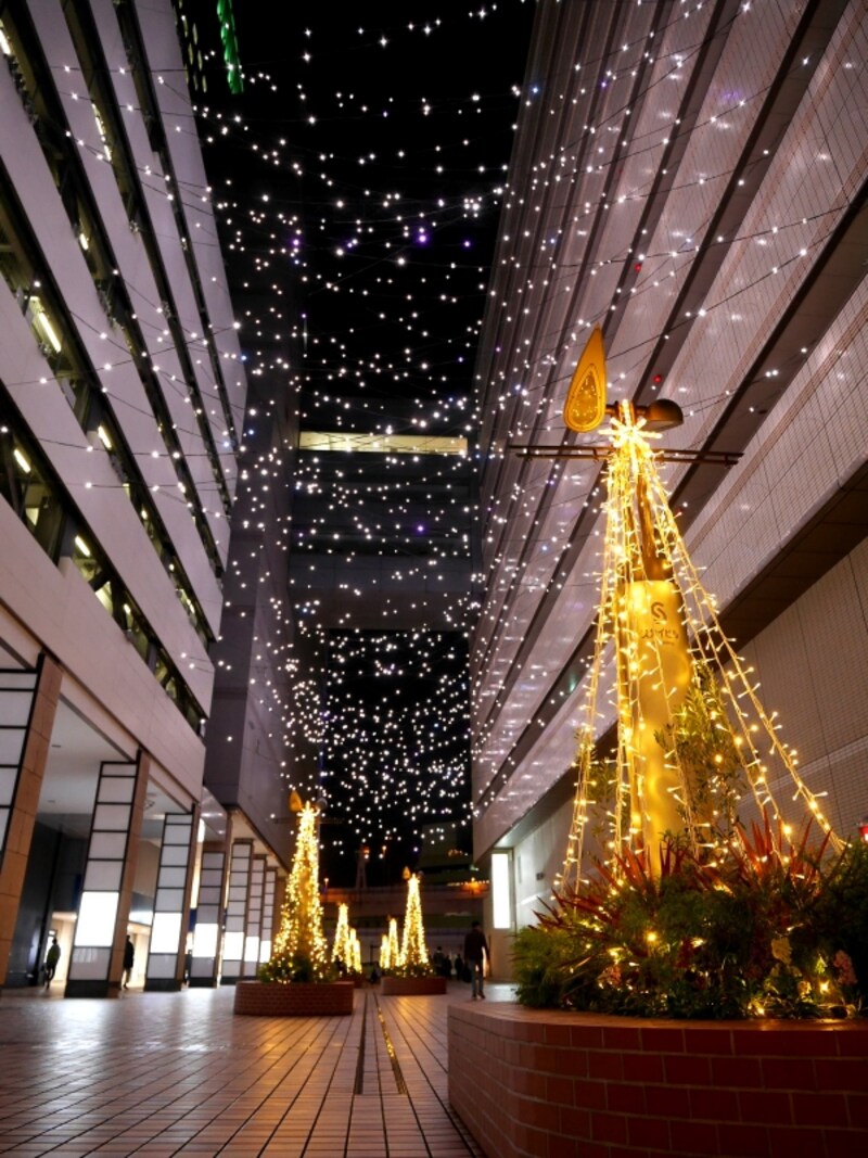 横浜駅東口に「星降るテラス」が初登場（2017年11月7日撮影）