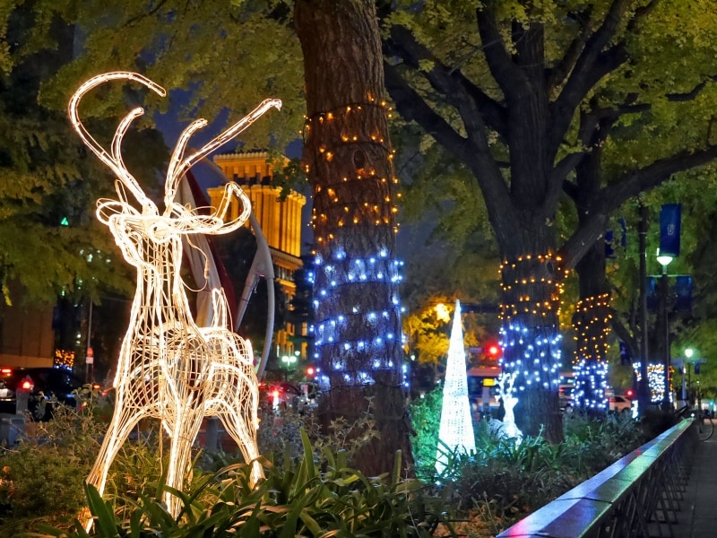 日本大通りの両側にトナカイのイルミネーションが点在。イチョウの木にはLEDが巻いてあります（2017年11月20日撮影）