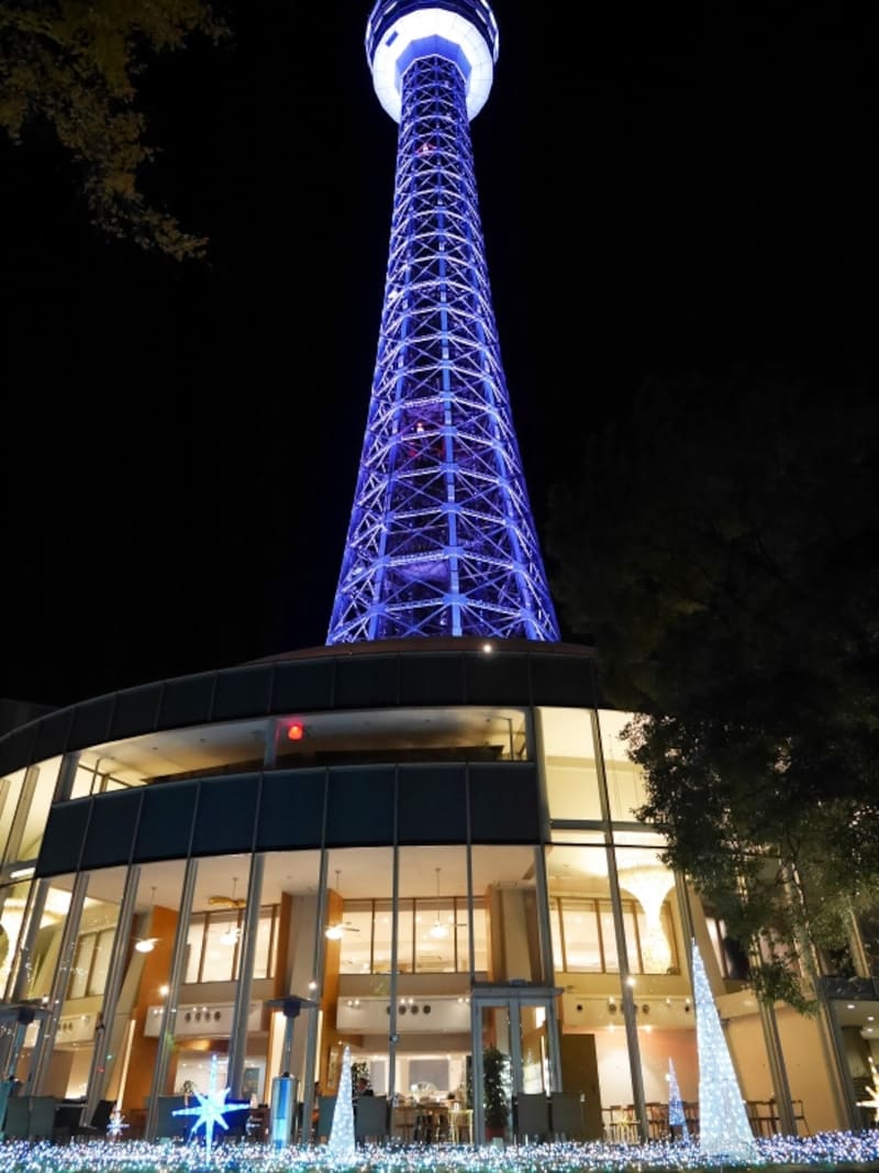 横浜マリンタワーでは流れ星のように下に光が落ちる「スターダストイルミネーション」が点灯（2017年11月24日撮影）