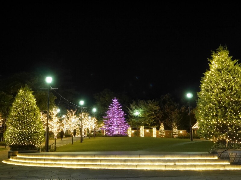 アメリカ山公園はシャンパンゴールドのLEDの光に包まれたロマンティックな空間に（2017年11月24日撮影）