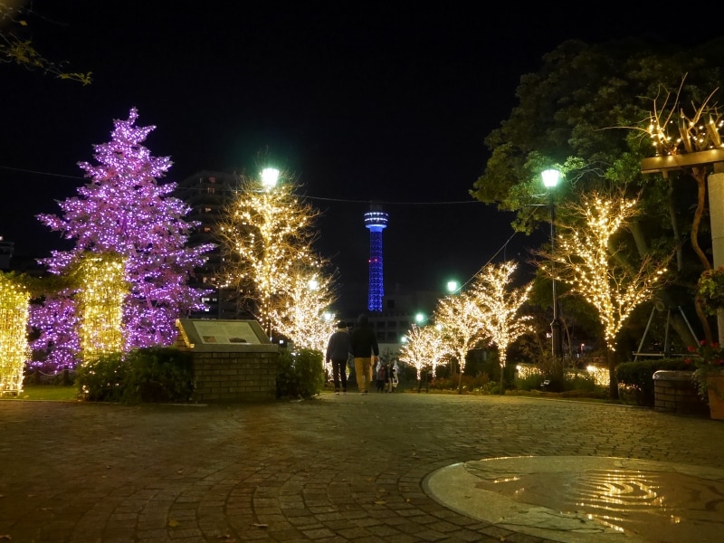 約7mのピンク色のメインツリーが点灯（2017年11月24日撮影）