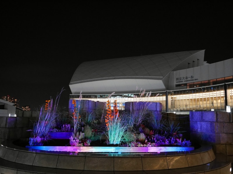 2017年に新登場したエントランス花壇のライトアップ(2017年11月5日撮影)