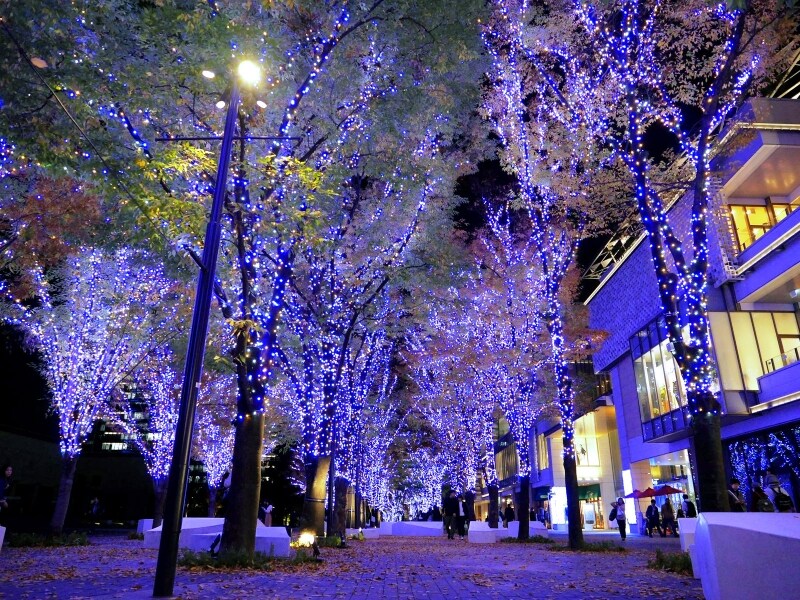 グランモール公園ケヤキ並木のイルミネーション。光のトンネルを歩いてるよう(2017年11月7日撮影)