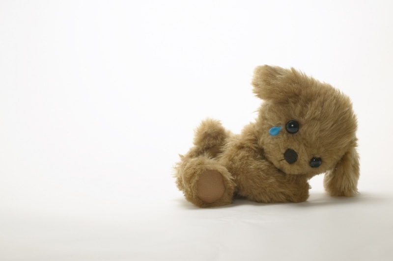 ワンコは一生懸命に気持ちをおちつけようとあくびをするよ