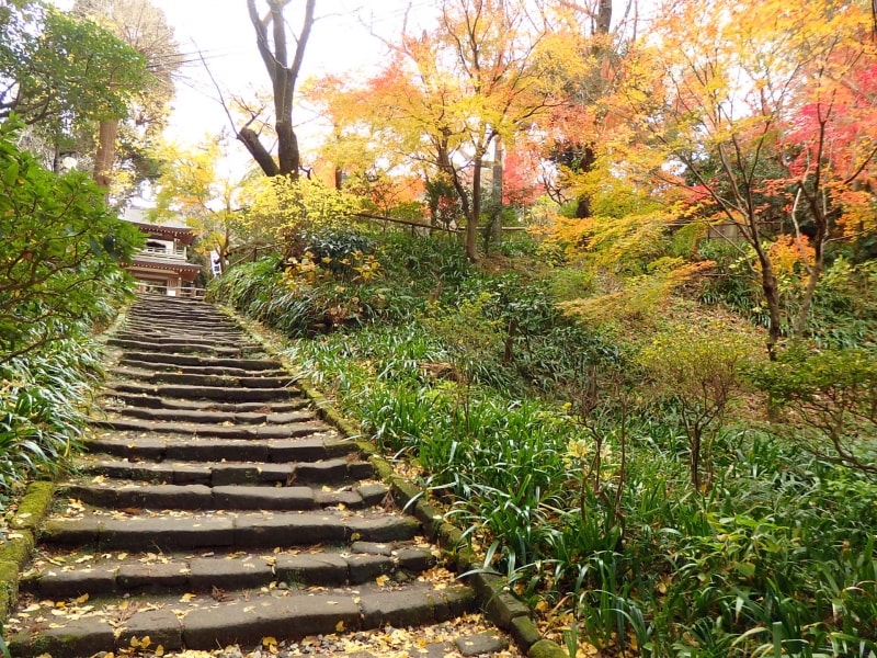 趣あるかまくら石の石段の脇に黄色や赤のモミジが