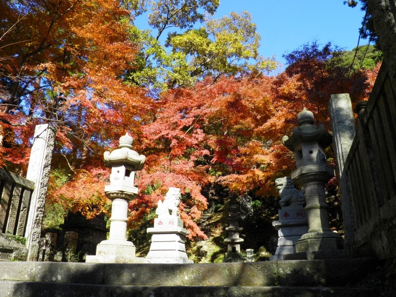 紅葉が美しく彩る半僧坊への石段